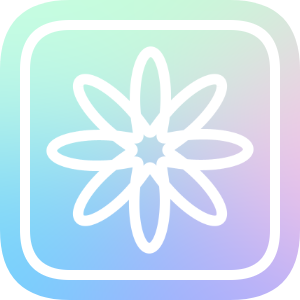 Big icon